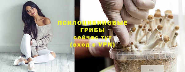 ешки Магас