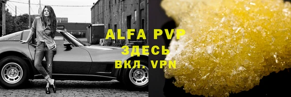 стаф Майский