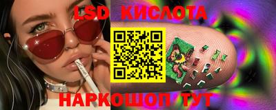 гидра Аргун