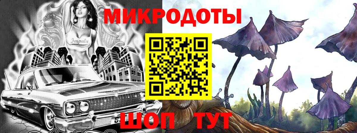 Галлюциногенные грибы Magic Shrooms Сунжа