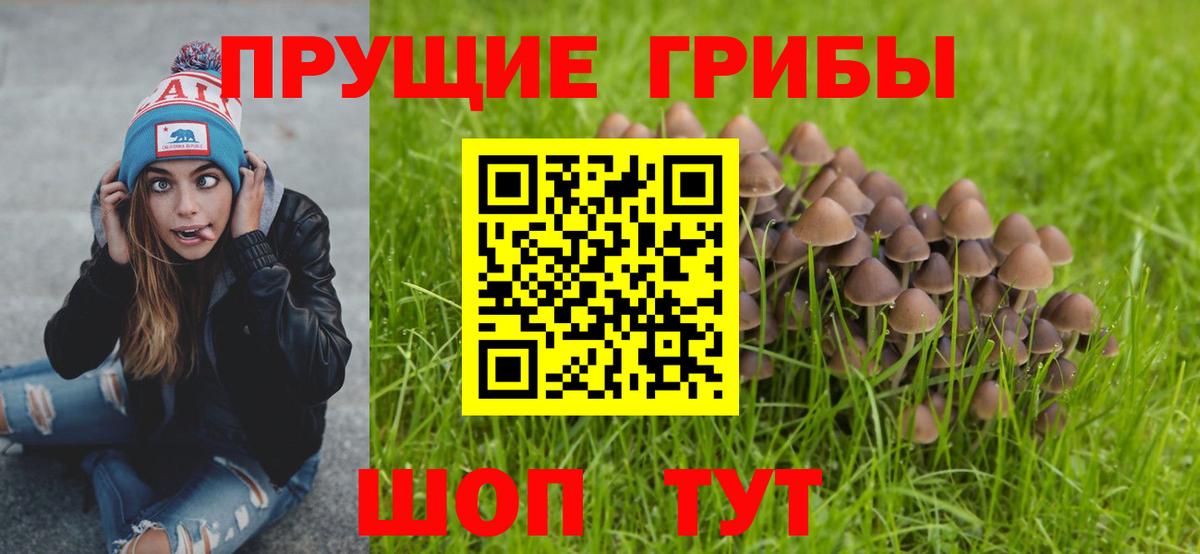 Сунжа  Мефедрон кристаллы  Кокаин  Метамфетамин  Гашиш  MDMA  Каннабис 