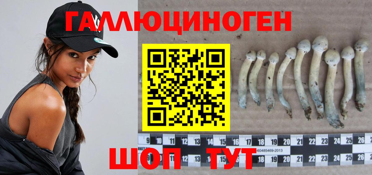 Галлюциногенные грибы Cubensis  Галлюциногенные грибы прущие грибы  Вход с VPN  Сунжа 
