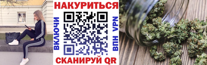 Конопля OG Kush  Сунжа 