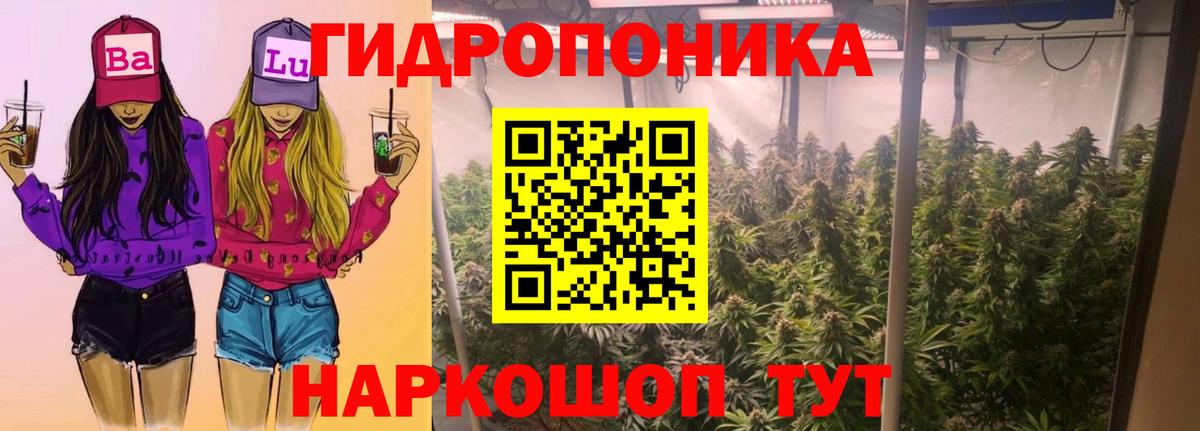 Бошки марихуана THC 21% Сунжа